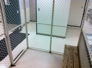 The Holding Cell at the Hudson P.D.